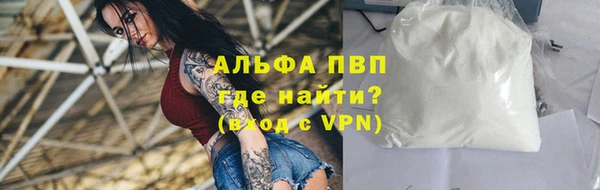 прущие грибы Мегион
