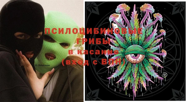 прущие грибы Мегион