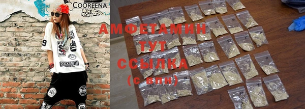 прущие грибы Мегион