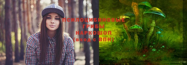 mdpv Ельня