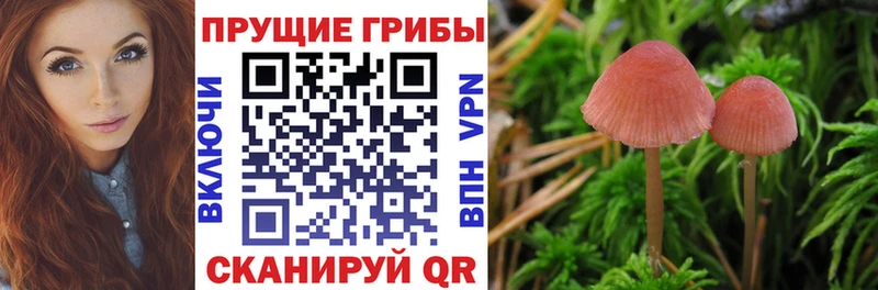 наркошоп  Еманжелинск  Галлюциногенные грибы MAGIC MUSHROOMS 