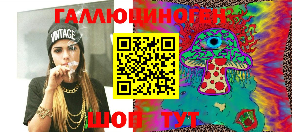 Псилоцибиновые грибы Psilocybine cubensis Еманжелинск