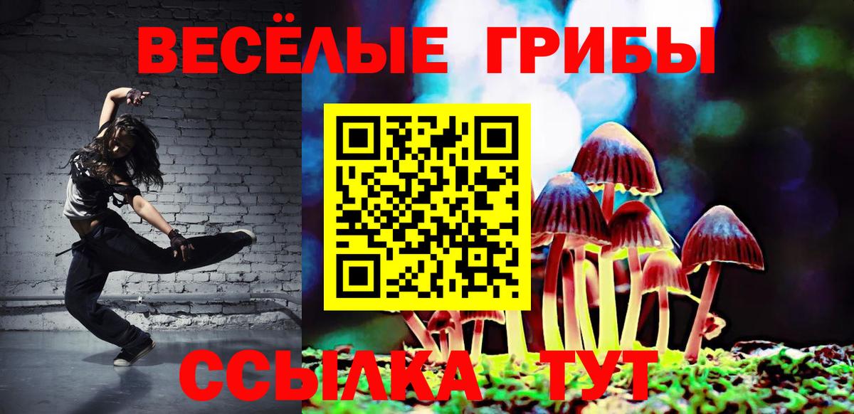 цена наркотик  Еманжелинск  Галлюциногенные грибы GOLDEN TEACHER  Псилоцибиновые грибы GOLDEN TEACHER 